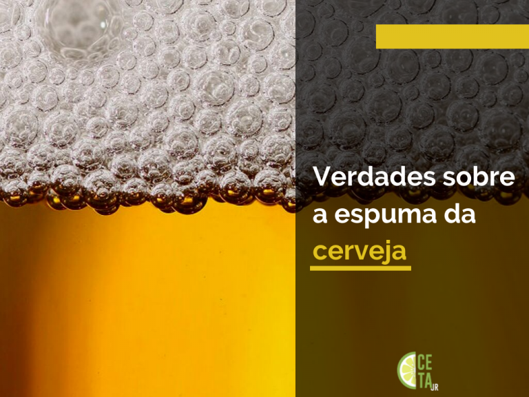 Junto com a cor e a turvação, a espuma é uma das características da cerveja mais apreciadas por seus consumidores. Mas qual a função da espuma na bebida?