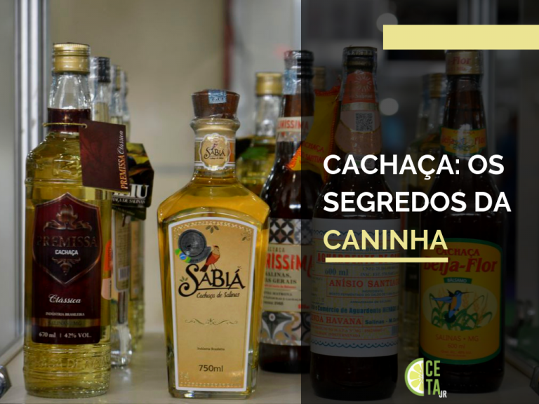 Orgulho de brasil e ingrediente da Caipirinha, o drink mais famoso do mundo, a Cachaça é uma das maiores descobertas dos Brasileiros. Descubra o porquê.