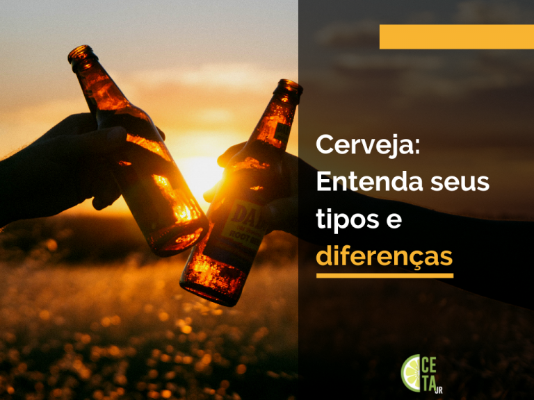 A cerveja é um tipo de bebida muito presente em nosso cotidiano. Quer saber mais sobre cervejas e suas diferenças? A CETA Jr. te explica!