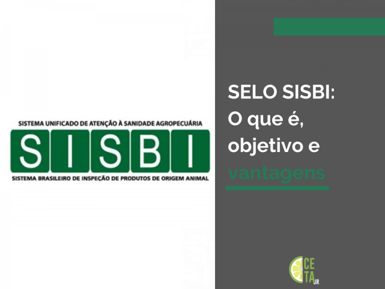 SELO SISBI: O que é, objetivo e vantagens.