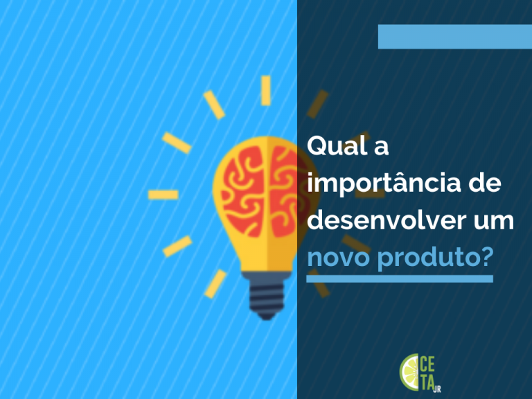 Qual a Importância de Desenvolver um novo produto?