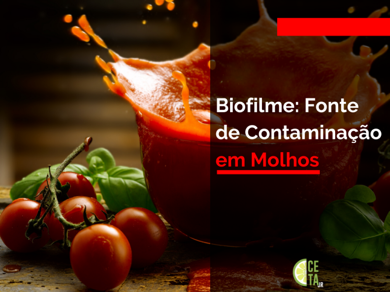 Biofilme: Forma de contaminação em molhos