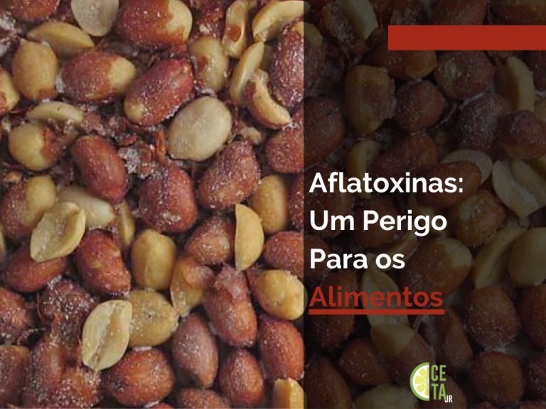 Aflatoxinas: um perigo para os alimentos.