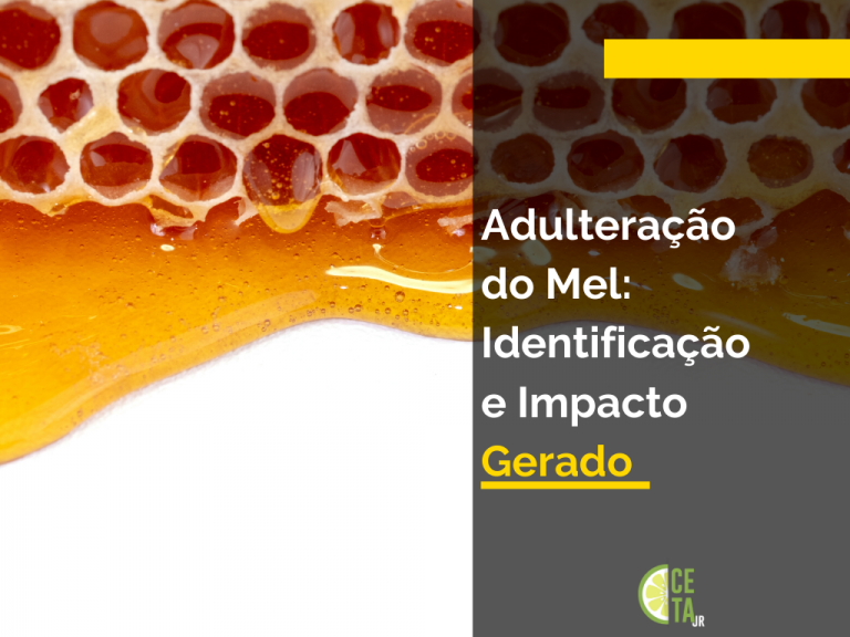 Adulteração do Mel: Identificação e Impacto Gerado