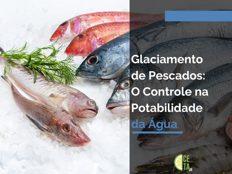 Glaciamento de Pescados: O Controle na Potabilidade da Água