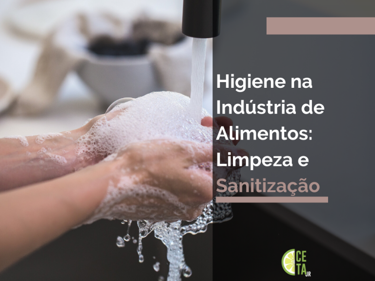 Higiene na Indústria de Alimentos: Limpeza e Sanitização