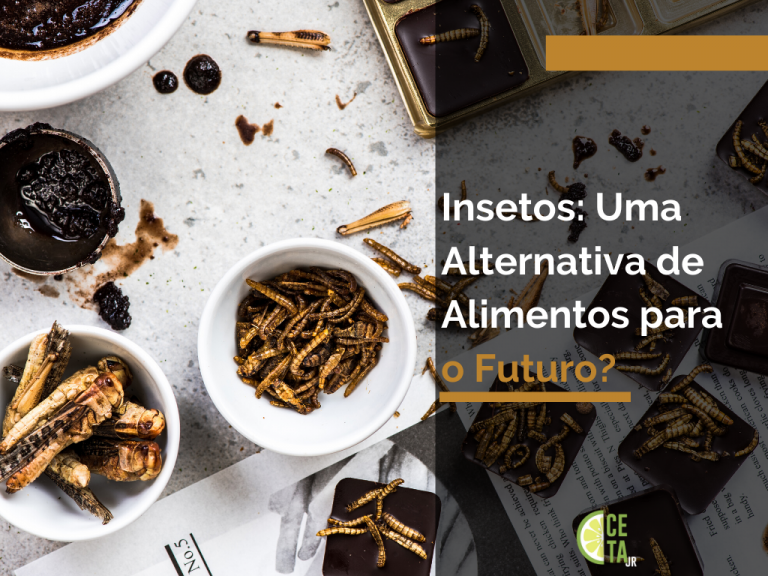 Insetos: Uma Alternativa de Alimentos para o Futuro?