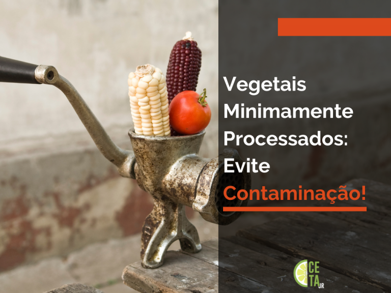 Vegetais Minimamente Processados Evite Contaminação!