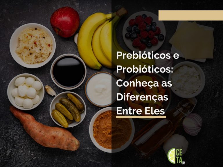 Prebióticos e Probióticos: Conheça as Diferenças Entre Eles