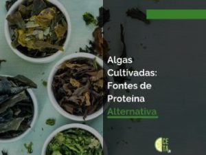 Algas Cultivadas: Fontes de Proteína Alternativa