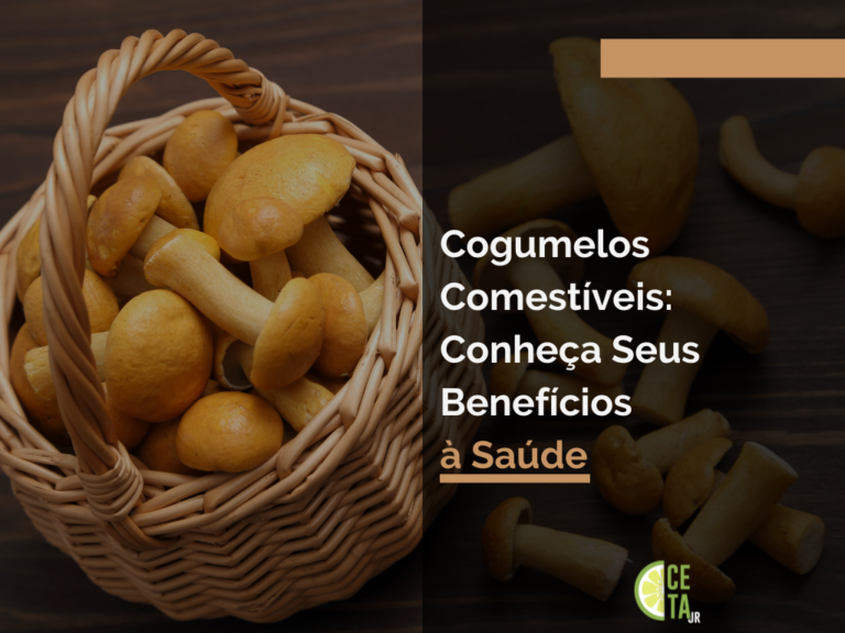 Cogumelos Comestíveis: Conheça Seus Benefícios à Saúde