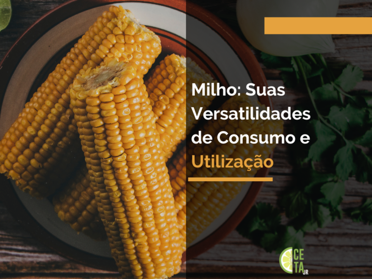 Milho: Suas Versatilidades de Consumo e Utilização