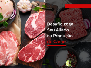 Desafio 2050: Seu Aliado na Produção de Carne