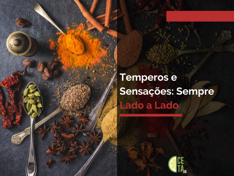 Temperos: Como Podem Transformar a Sua Cozinha