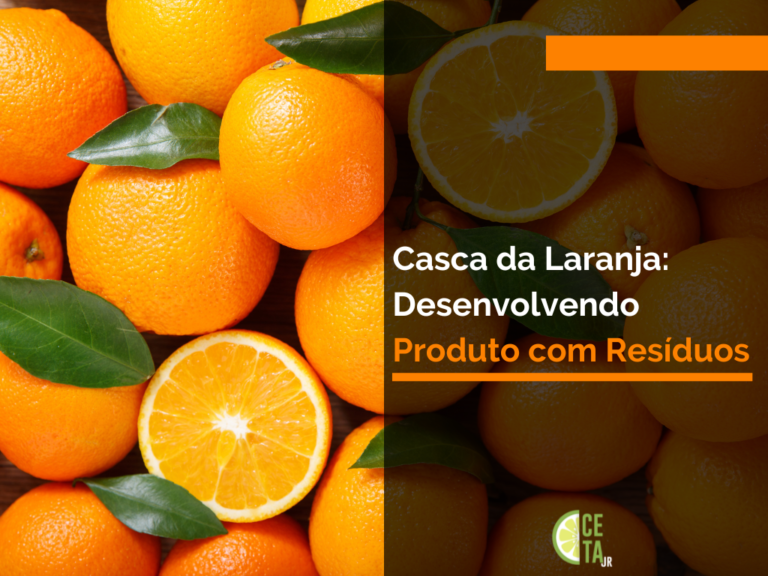 Casca da Laranja_ Desenvolvendo Produto com Resíduos