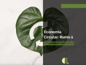 Economina Circular Rumo à Sustentabilidade