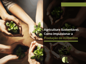 Agricultura Sustentável