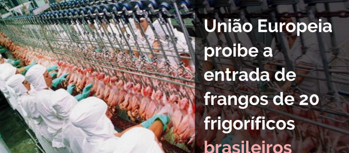 União Europeia proibe a entrada de frangos de 20 frigoríficos brasileiros