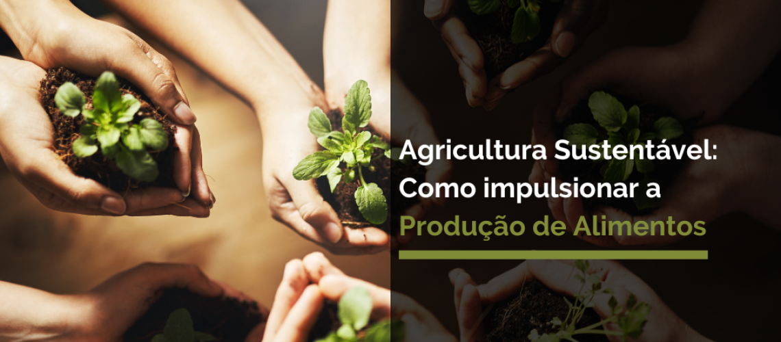Agricultura Sustentável
