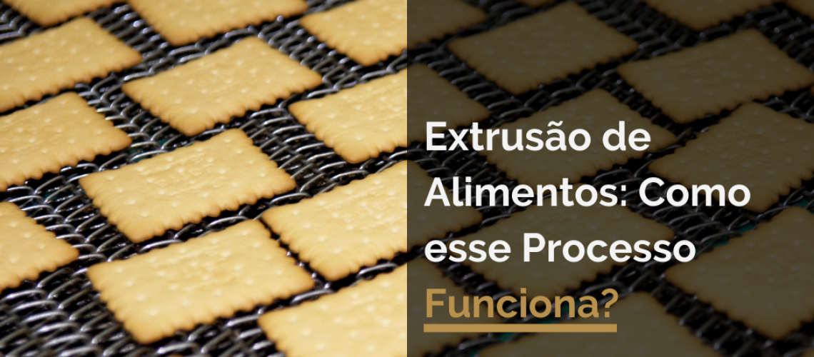 Extrusão de Alimentos: Como esse Processo Funciona?