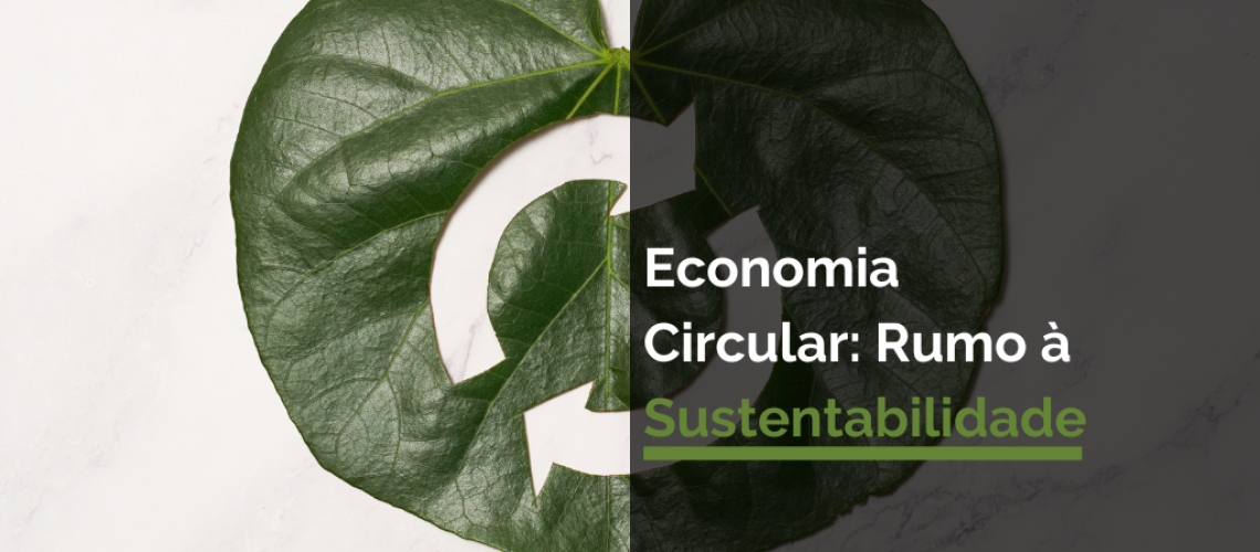 Economina Circular Rumo à Sustentabilidade