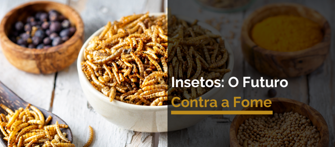 Insetos_ O Futuro Contra a Fome