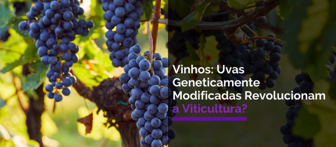 Limpeza e Sanitização Industrial Por que é um Pilar Essencial