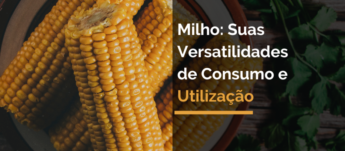 Milho: Suas Versatilidades de Consumo e Utilização