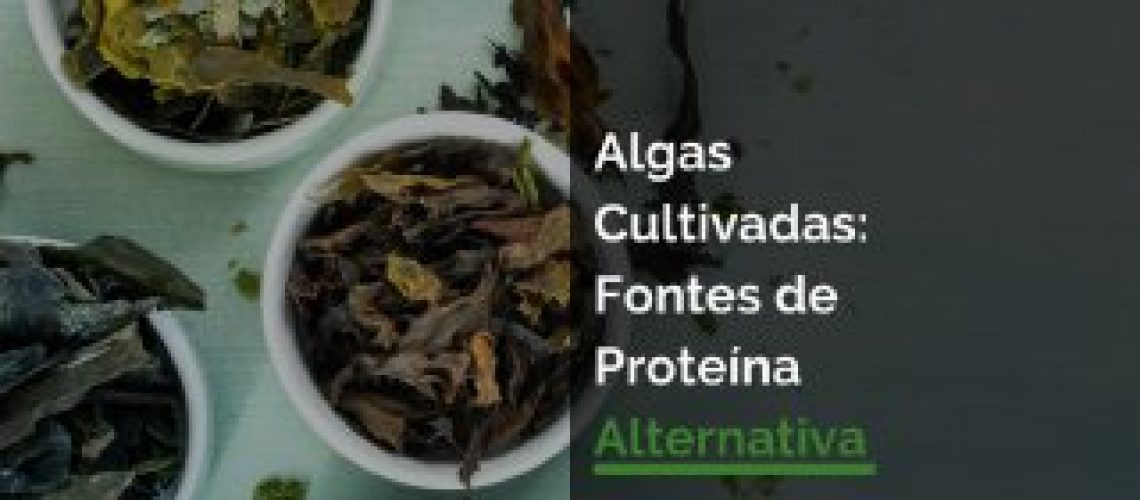 Algas Cultivadas: Fontes de Proteína Alternativa