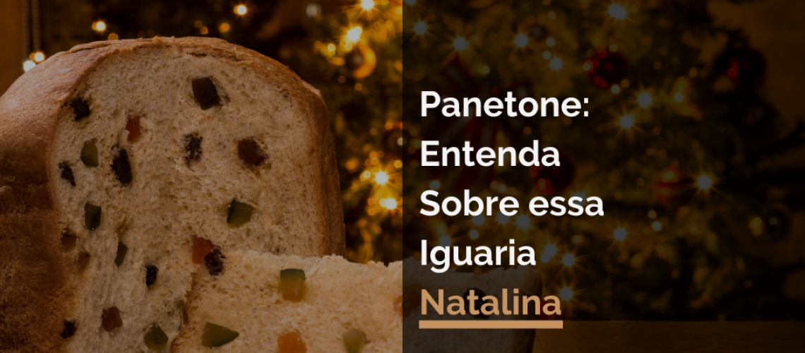 Panetone: Entenda Sobre essa Iguaria Natalina