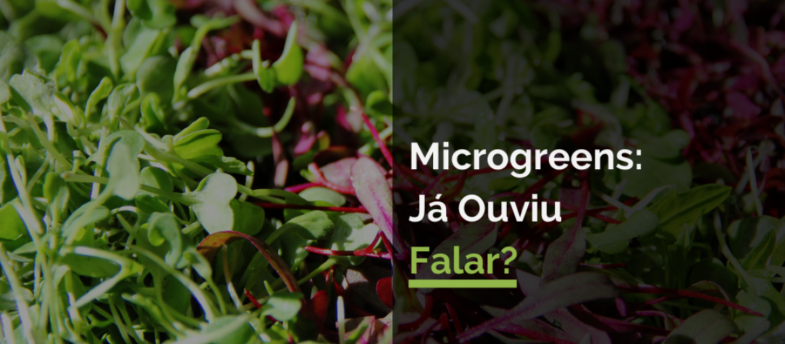 Microgreens: Já Ouviu Falar?