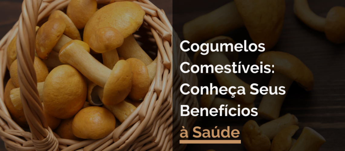 Cogumelos Comestíveis: Conheça Seus Benefícios à Saúde