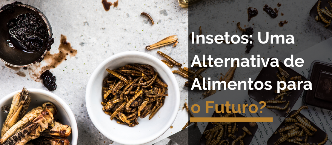 Insetos: Uma Alternativa de Alimentos para o Futuro?