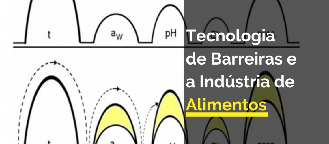 Analise das barreiras à pratica do treinamento na Pequena Empresa